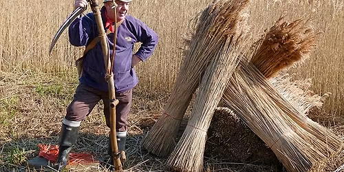 Best of Norfolk Cuisine