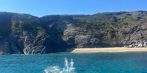 July Seafari with Zephyr Charters