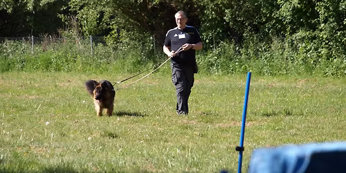 10 Wochen Erziehungs & Beziehungskurs