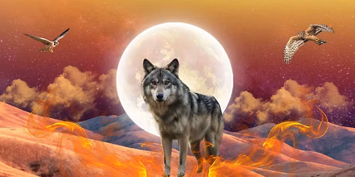 Transference Healing Animal Magic Workshop