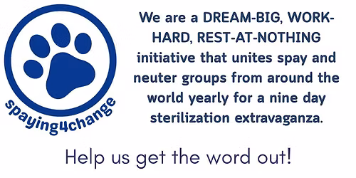 Spaying4Change