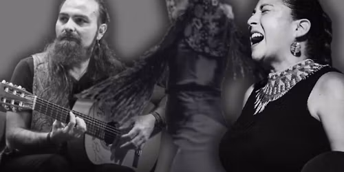 OLE! A Flamenco Thrill