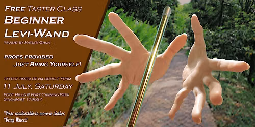 Introduction to Levi Wand: Taster Class - Free Workshop