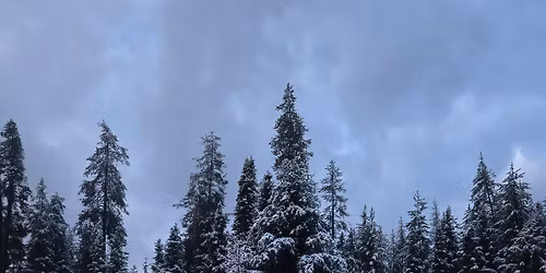 Paddy Flat Property Owners Assoc. Annual Membership Meeting