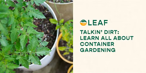 Talkin' Dirt LIVE: Learn All About Container Gardening