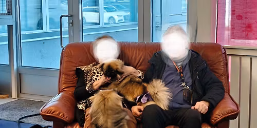 Leikkitreffit ja n\u00e4yttelytreenit