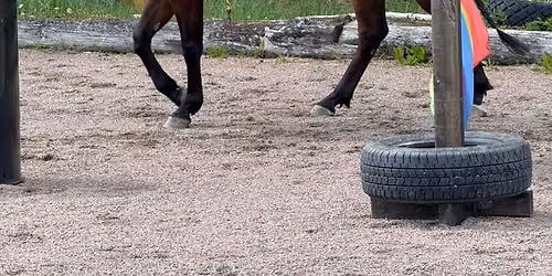 Supertrail tr\u00e4ning och t\u00e4vling