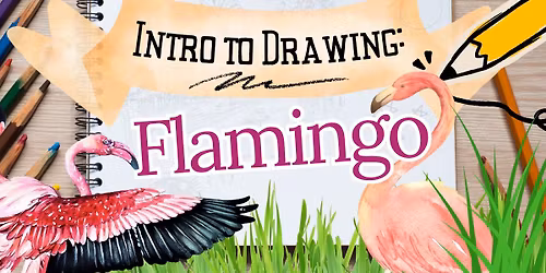 Intro to Drawing: Flamingo
