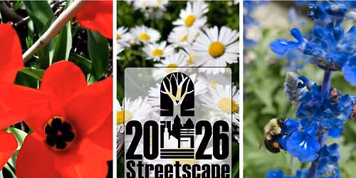 2026 Streetscape-Red, White, & Bloom