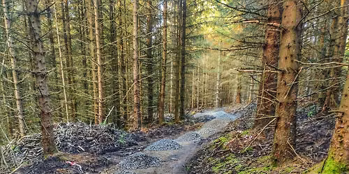 New HTB Red Trail - Hamsterley Forest 
