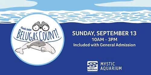 Belugas Count!