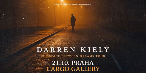 Darren Kiely (IE) \/ Cargo Gallery