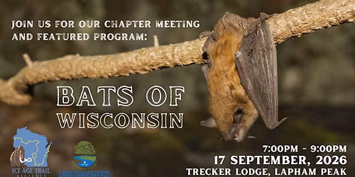 IAT Chapter Meeting: Bats of Wisconsin