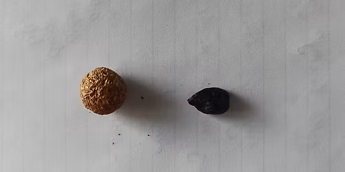(ne)spektaklis ,,STIRNOS METODAS"