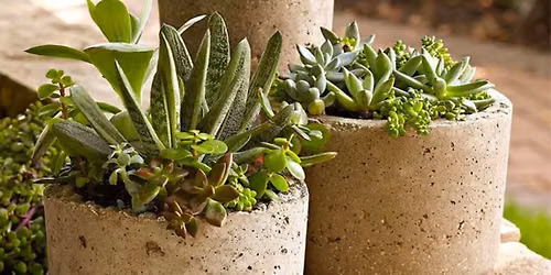 Garden With Confidence: Hypertufa Planters