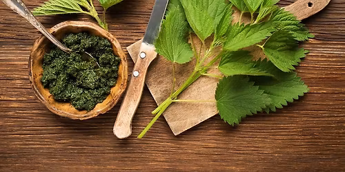 Za bylinkami do zahrady: KOP\u0158IVA