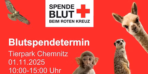 Blutspendetermin \ud83e\ude78 Tierpark Chemnitz \ud83d\udc12\ud83d\udc06\ud83e\udda9
