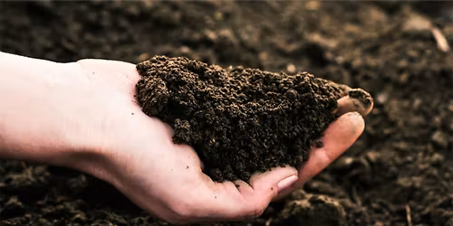 FREE WORKSHOP: Soil and healthy trees