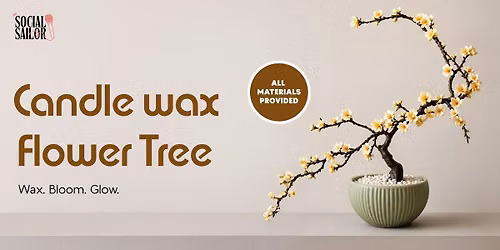 Candle Flower Wax Tree -Hyderabad