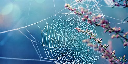 MATERIALS: Adhesion - Register of Interest