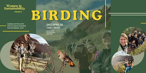 Birding at Prospect Park