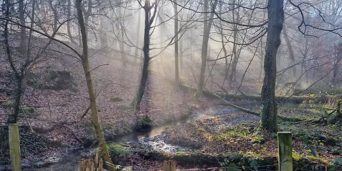 L\u2019eau en for\u00eat \u2014 \u00e9tangs, sources et zones humides