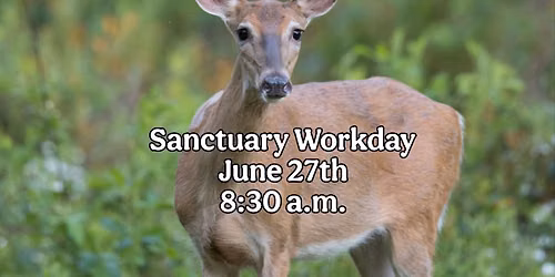 Sanctuary Workday