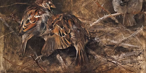 Bruno Lilje\u00adfors \u2013 pensel\u00addrag fr\u00e5n djur\u00adri\u00adket