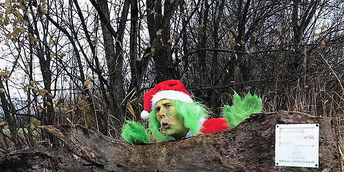 Mischievous Tree-Troll\u2019s Grotto Takeover & Nature Trail