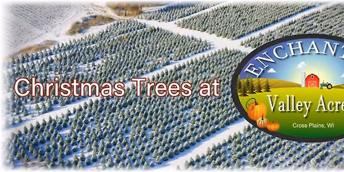 Christmas Trees & Memories at Enchanted Valley Acres!
