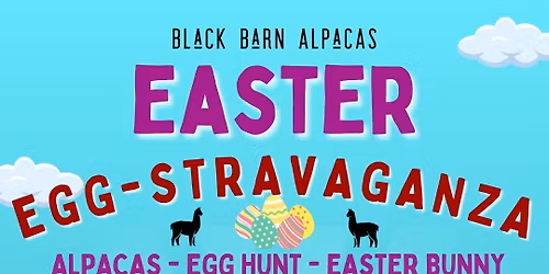 Easter EGG-stravaganza at Black Barn Alpacas