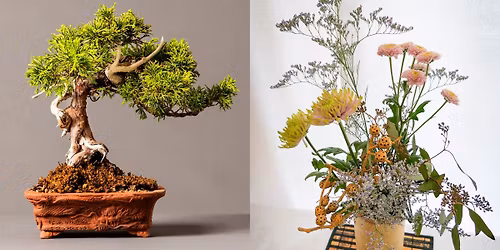 Bonsai and Ikebana Exhibition