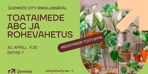 \u00dcLEMISTE CITY RINGLUSN\u00c4DAL: ROHEVAHETUS JA TOATAIMEDE ABC