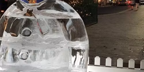 Enjoy Darlington Ice Sculpture Trail