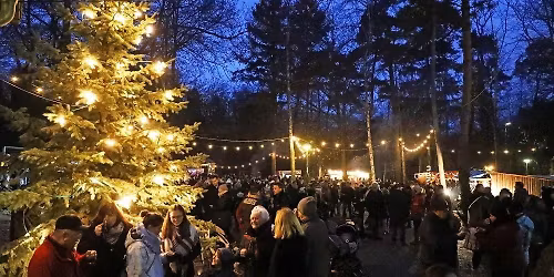 Romantische Waldweihnacht