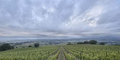 Chart House - Cakebread Cellars Wine Dinner - Melbourne