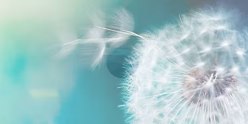 Reset & Release Stress - EFT Tapping Circle