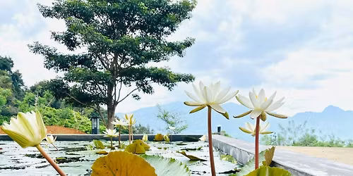 Experience Deep Inner Silence by Acharin's Meditation Guidance