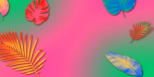 BailaLuz Salsa Bachata Festival