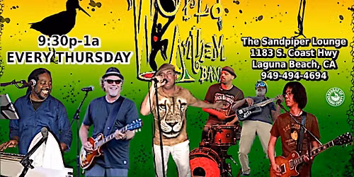 Reggae Thursdays with World Anthem Band!