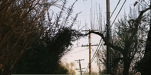 Neighborhood Photowalk!