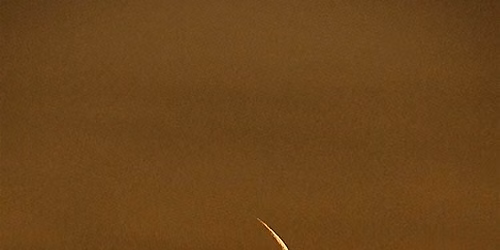 10\/10 Portal + New Moon Meeting - Libra 2026