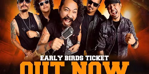 Cobweb Live in Darwin