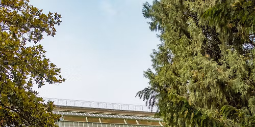 Visite guid\u00e9e : du jardin de la Reine au jardin des plantes