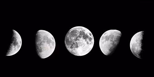 Moonlight & Nourishment Yoga Teacher Toolbox with Carole Westerman 