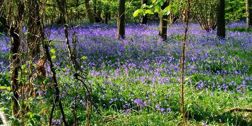 What your Trans clients wished you knew