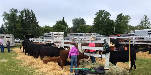 175th Millbrook Spring Fair