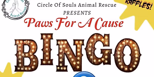 BINGO WAS HIS NAME-O HALLOWEEN \ud83c\udf83 THEMED BINGO