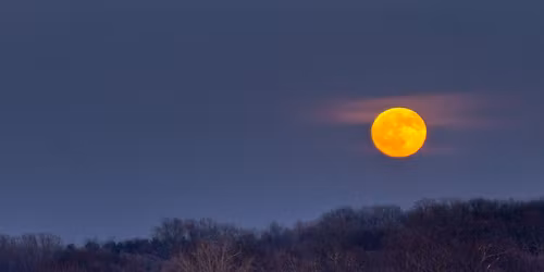 Full Sugar Maple Moon Hike