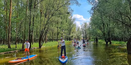 Sup szafari Gemenc k\u00f6zep\u00e9n 